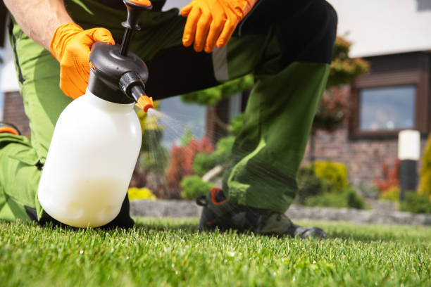 Insect Control in Wisconsin Dells, WI