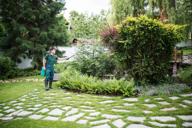 Professional Pest Control in Wisconsin Dells, WI