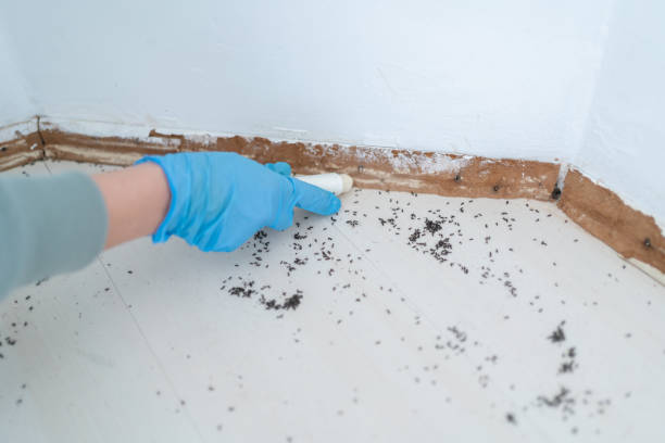 Best Affordable Pest Control Services  in Sconsin Dells, WI