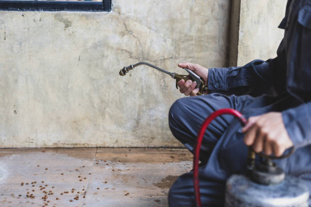 Best Pest Control Near Me in Wisconsin Dells, WI
