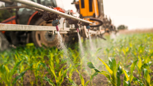 Reliable Wisconsin Dells, WI Pest Control Solutions